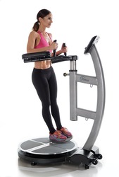 TA Sport Pommel Torso Model S Exercise Machine, Black/Silver