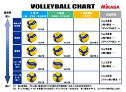 Mikasa Volley Ball, Mva400, Multicolour
