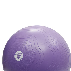 Livepro Anti-Burst Core-Fit Exercise Ball, 55cm, LP8201, Purple
