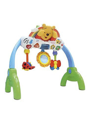 Vtech 2-In-1 Peek A Boo Gym Activity Toy