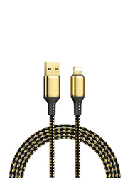 WiWu 1.2-Meter 18K Golden 20W Data Cable, USB Type A Male to Lightning for Apple Devices, GD-100, Gold