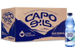 CAPO Bottled Drinking Water 500ml Pack of 24