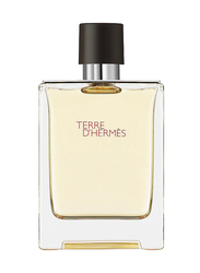 Hermes Terre D'hermes 100ml EDT for Men