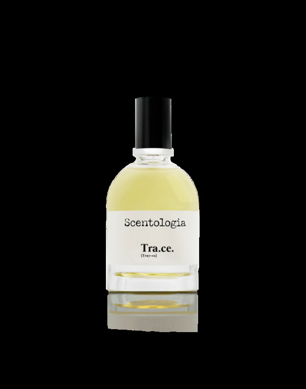 SCENTOLOGIA TRACE EDP 100 ML