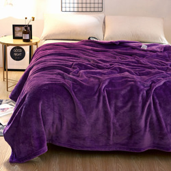 Fabienne Silky Flannel Microfiber Bed Blanket, Single, Purple