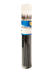 Sadaf Painting Brush with PVC Holder No. 10, PD-100, 24 Pieces, Multicolour
