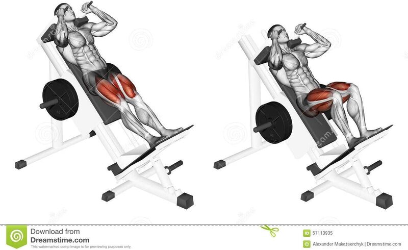 Marshal Fitness Combo 2 in 1 Hack Squat Ultimate Leg Press, Mf-17618-17619, Grey