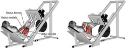 Marshal Fitness 45° Leg Press Inverse Commercial Exercise Machine, MF-GYM-17618-SH-1, Silver