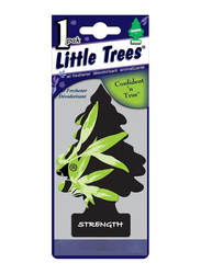 Little Tree Confident N True Strength Air Freshener