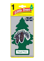 Little Tree Royal Pine X-Tra Strength Air Freshener