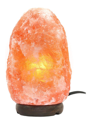 Himalayan 2-3kg Aura Natural Shape Salt Table Lamp by Photon, Brown/Orange