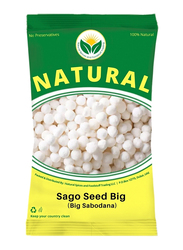 Natural Spices Fresh Sago Seed Big Sabodana, 1 Kg