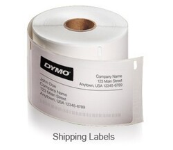 DYMO 99013 Large Address Labels, Transparent Plastic, 89 x 36 mm, 260 Labels/Roll