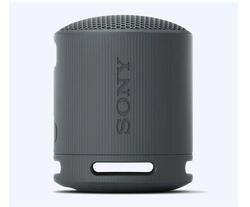 Sony SRS-XB100 Portable Wireless Speaker, Black