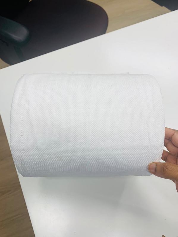 Chemex Maxi Tissue Roll, 750gm, White, 2 Ply x 120Mtr, 6-Piece