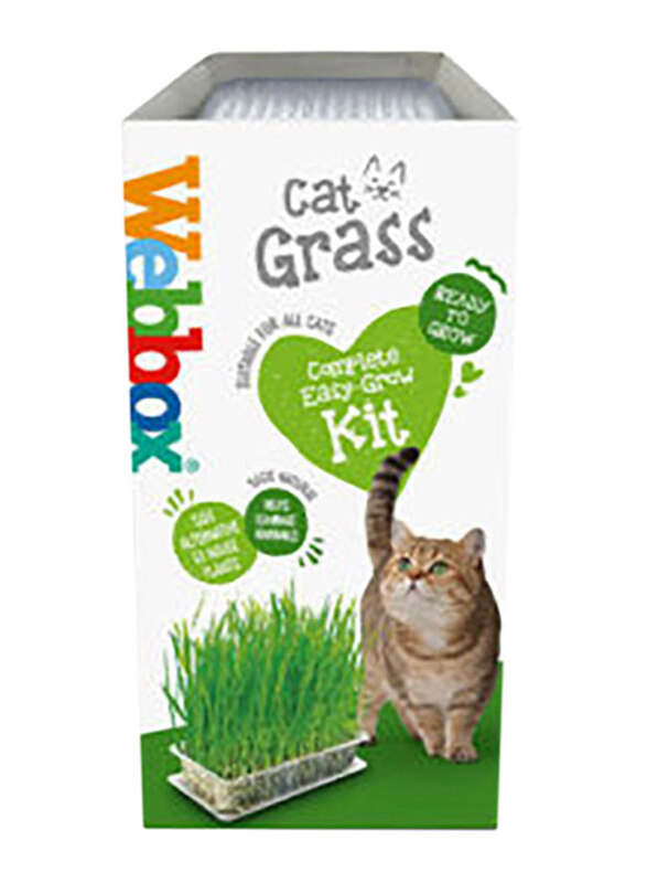 

Webbox Grass Dry Cat Food, 120 grams