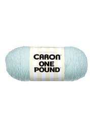 Caron Acrylic Knitting Yarn, 812 Yard, Pale Green
