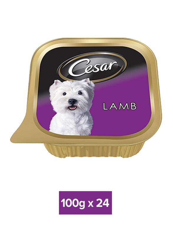 Cesar 24-Piece Lamb Can Foil Tray Wet Dog Food, 100g