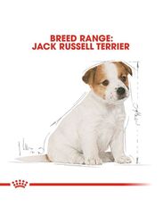 Royal Canin Breed Health Nutrition Jack Russell Terrier Dry Food for Dogs, 1.5 Kg