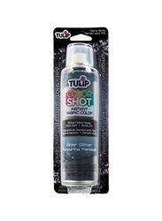 Tulip Color Shot Instant Fabric Color Spray, Silver Glitter