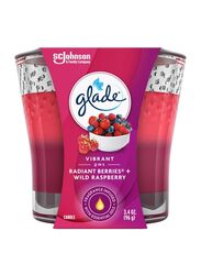 Glade 2-in-1 Radiant Berries and Wild Raspberry Jar Candle Air Freshener, Multicolour