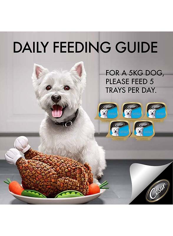 Cesar 24-Piece Chicken and Vegetables Foil Tray Wet Dog Food, 100g