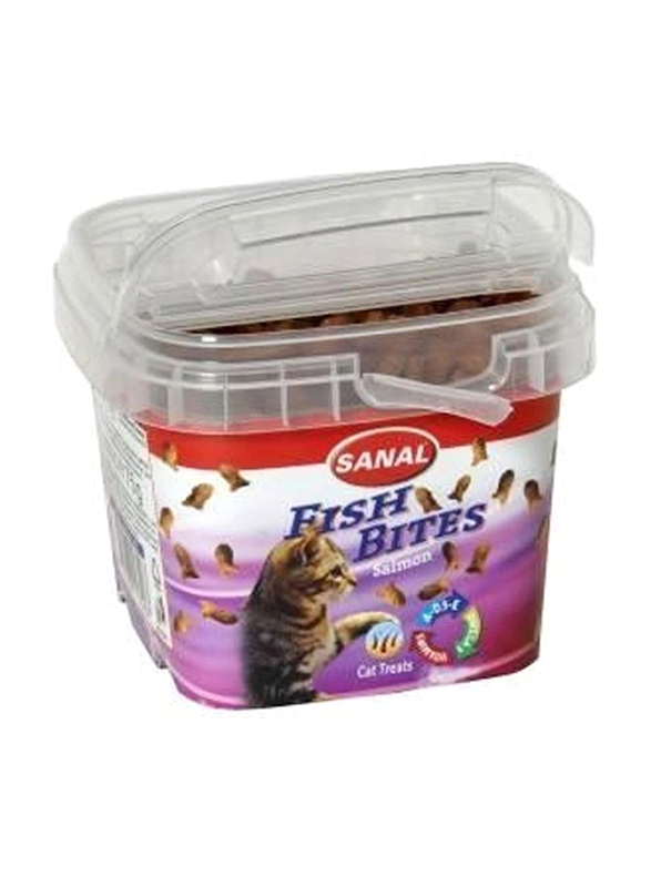 Sanal Salmoon Fish Bites Dry Cat Treat, 75 grams