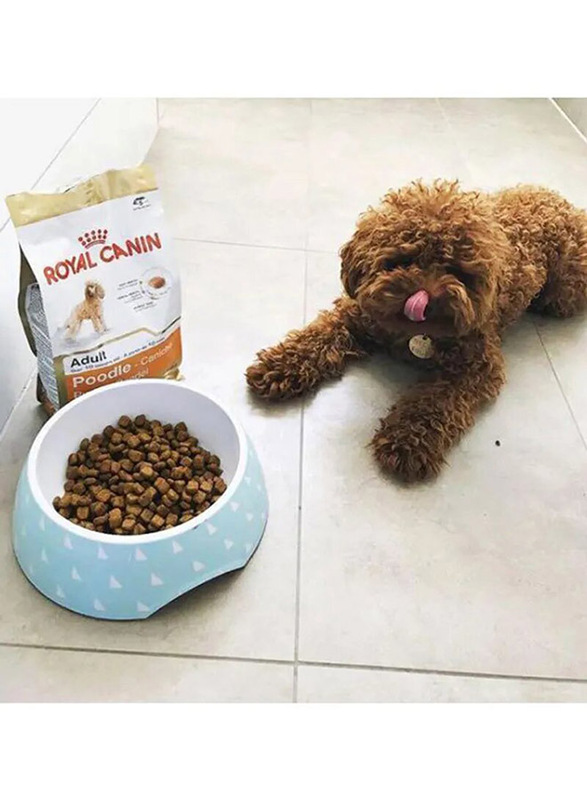 Royal Canin Adult Poodle Dry Food for Dog, 1.5Kg