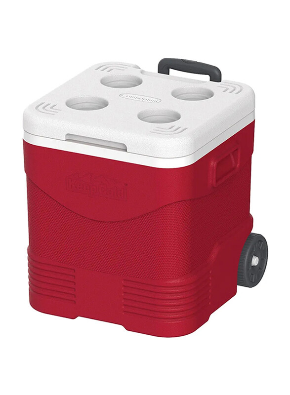 

Cosmoplast Plastic Picnic Trolley Ice Box Organizer, 30 Liter, Red/White