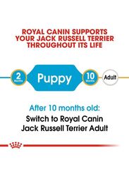Royal Canin Breed Health Nutrition Adult Jack Russell Terrier Dry Food for Dogs, 1.5 Kg