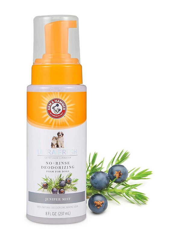 

Arm & Hammer Ultra Fresh No-Rinse Deodorizing Foam with Cactus Water & Citrus, 237ml