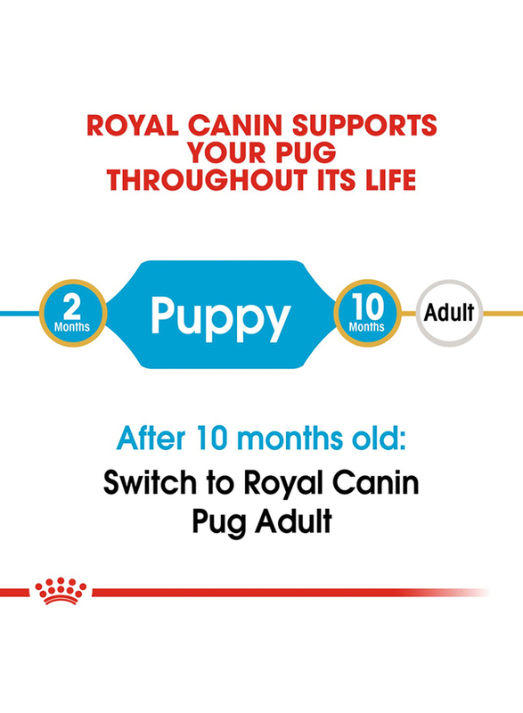 Royal Canin Pug Junior Puppy Dog Dry Food, 1.5 Kg