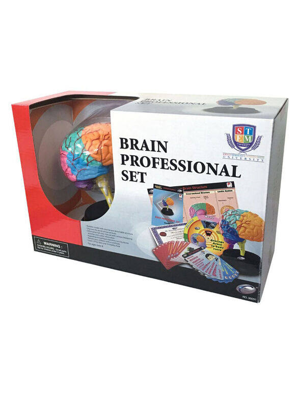 

Eastcolight Brain Professional Set, 41 Pieces, Ages 8+, Multicolour