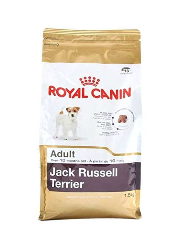 Royal Canin Breed Health Nutrition Adult Jack Russell Terrier Dry Food for Dogs, 1.5 Kg