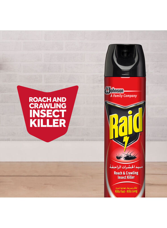 Raid Roach Crawling Insect Killer, 300ml
