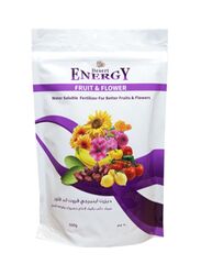Desert Energy Fruit And Flower Fertilizer, 500g, White