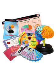 Eastcolight Brain Professional Set, 41 Pieces, Ages 8+, Multicolour