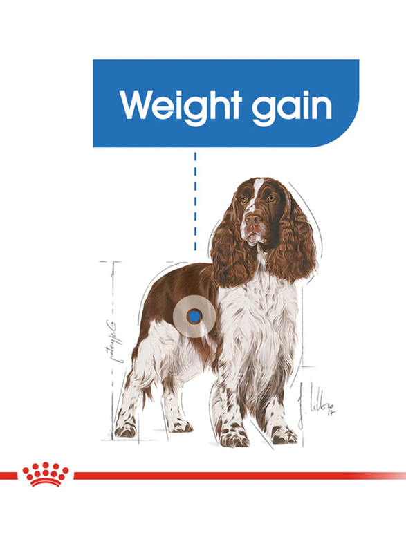Royal Canin Medium Light Weight Care Dog Dry Food, 3 Kg