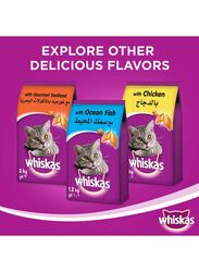 Whiskas Chicken Adult Cat Dry Food, 480g