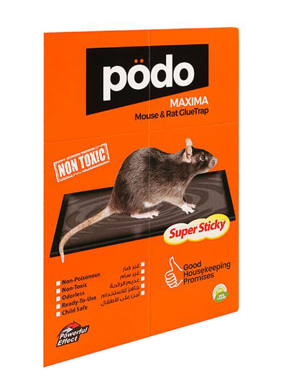 

Podo Maxima Mouse Glue Trap, Multicolour