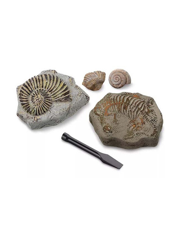 

Discovery Mini Fossil Toy Excavation Kit, Arts & Crafts Activity Set, 2 Pieces, Ages 3+