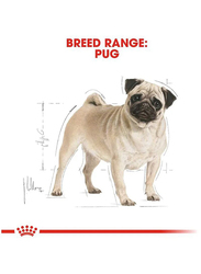 Royal Canin Breed Health Nutrition Dry Food for Pug Dog, 1.5Kg