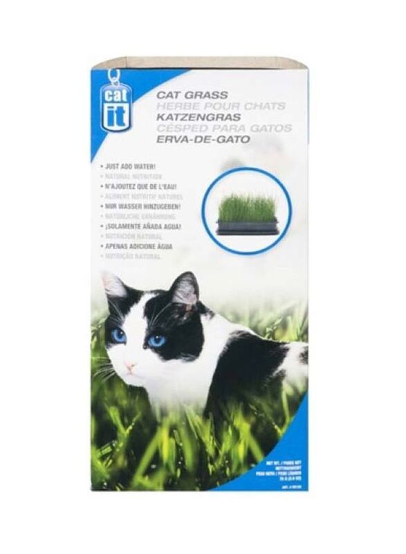 Hagen Catit Cat Grass, 75g, Green