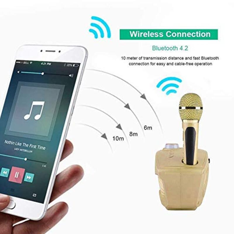 SDRD Portable Karaoke Wireless Bluetooth Speaker with 2 Microphones & Home Karaoke Support AUX TF Card U Disk FM Radio, Gold