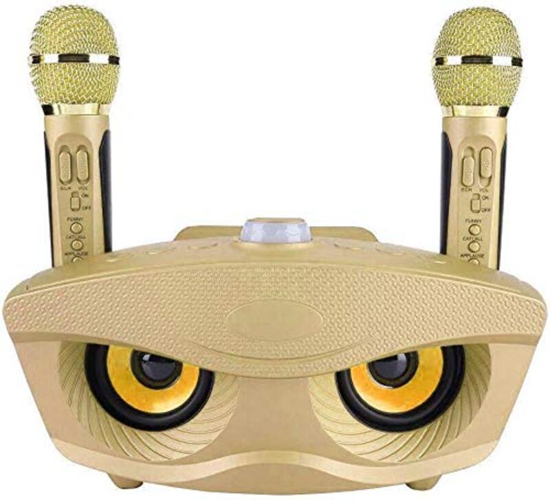 SDRD Portable Karaoke Wireless Bluetooth Speaker with 2 Microphones & Home Karaoke Support AUX TF Card U Disk FM Radio, Gold