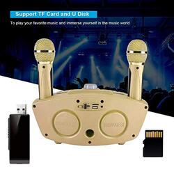 Portable Bluetooth Karaoke with 2 Wireless Microphones & Support AUX TF Card & U Disk, Gold
