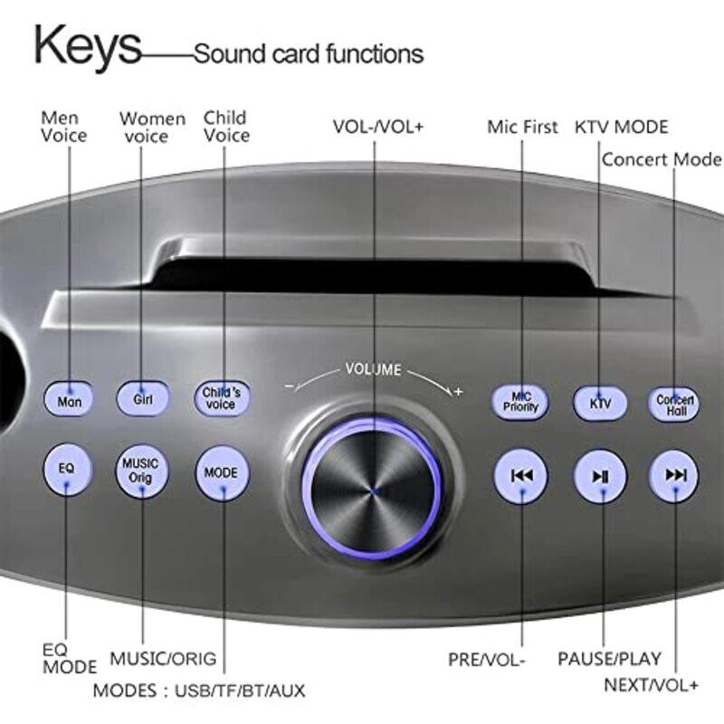 Crony Karaoke Player Dual Bluetooth 4.2 Speaker with 2 Wireless Mic, SD306 Plus, Grey