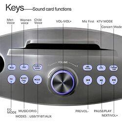 Crony Karaoke Player Dual Bluetooth 4.2 Speaker with 2 Wireless Mic, SD306 Plus, Grey