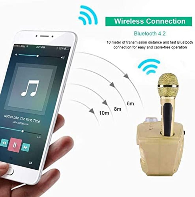 Umeema Portable Karaoke Wireless Bluetooth Speaker with 2 Microphones & Support AUX TF Card U Disk FM Radio, Gold