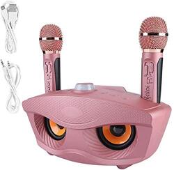 SDRD Hotlink Portable Karaoke Wireless Bluetooth Speaker with 2 Microphones Support AUX TF Card U Disk FM Radio, Pink